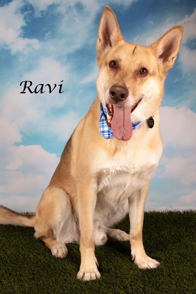 Ravi (now Russell)