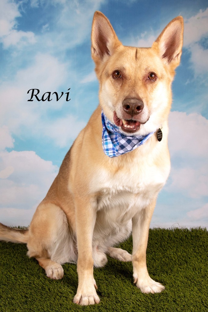 Ravi (now Russell) 3