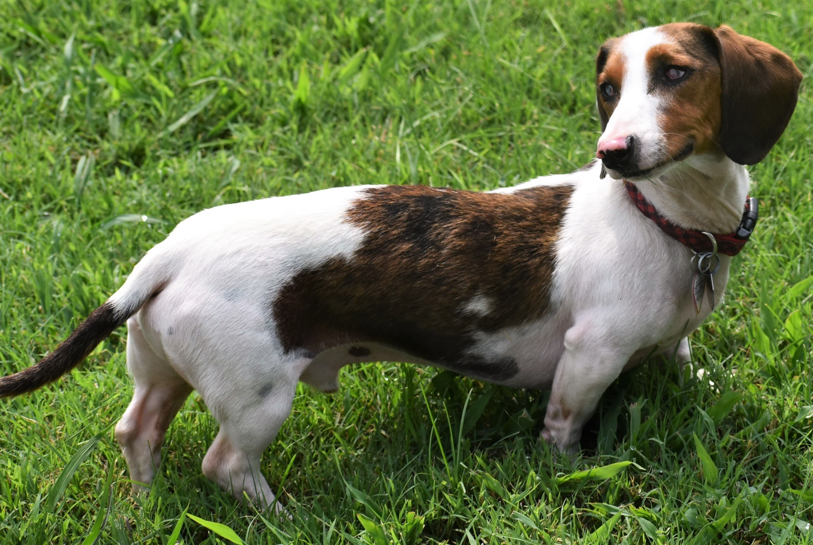 Obie in TN