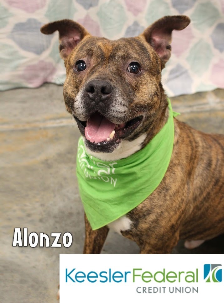 Alonzo detail page