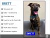 Foster Brett!