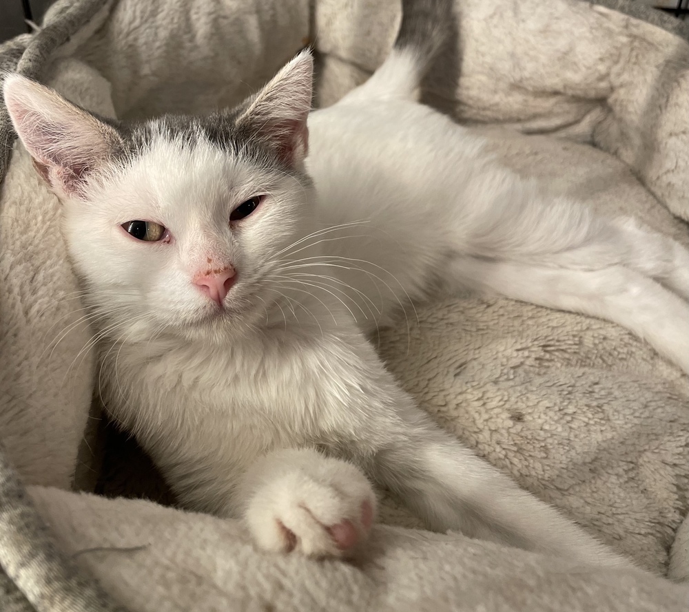 Luna
