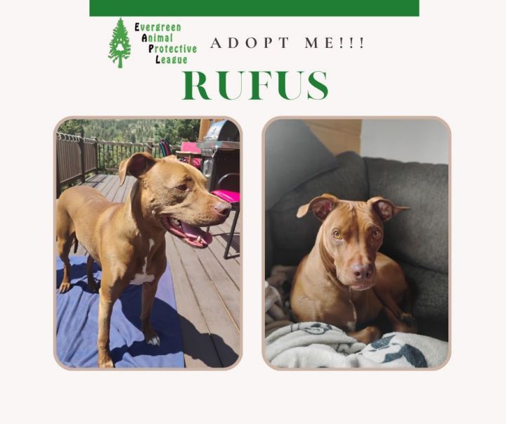 Rufus 3