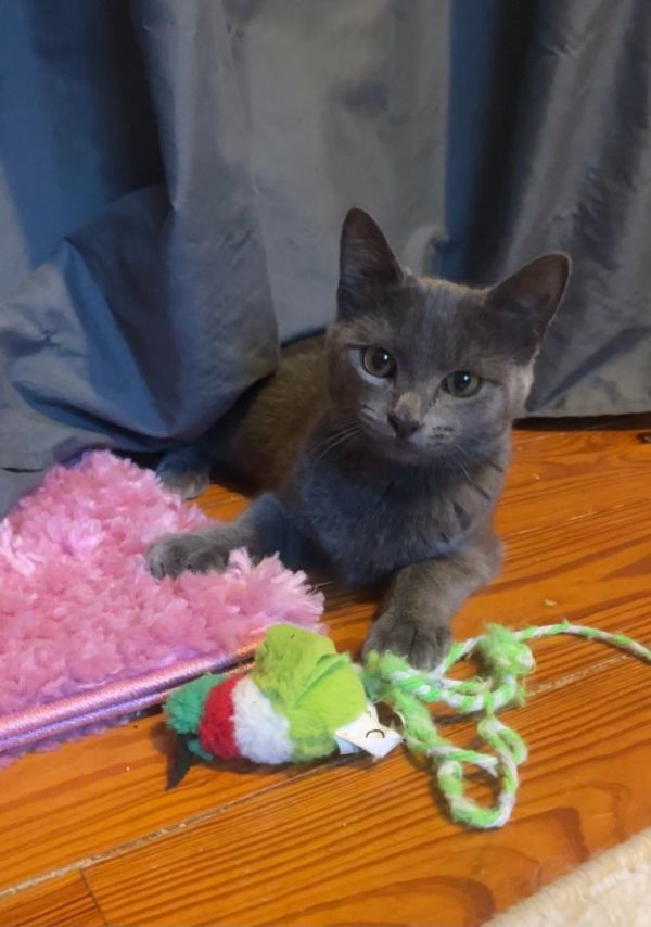 Coco