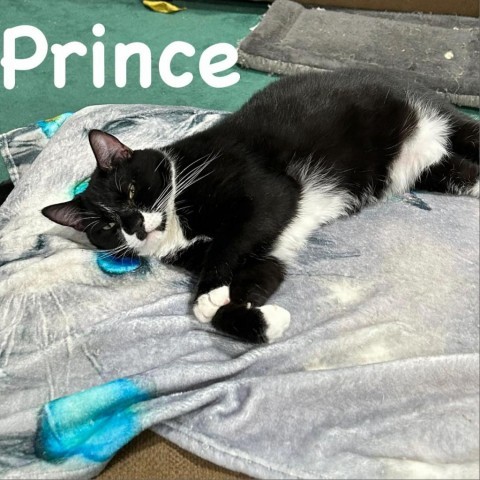 Prince 2