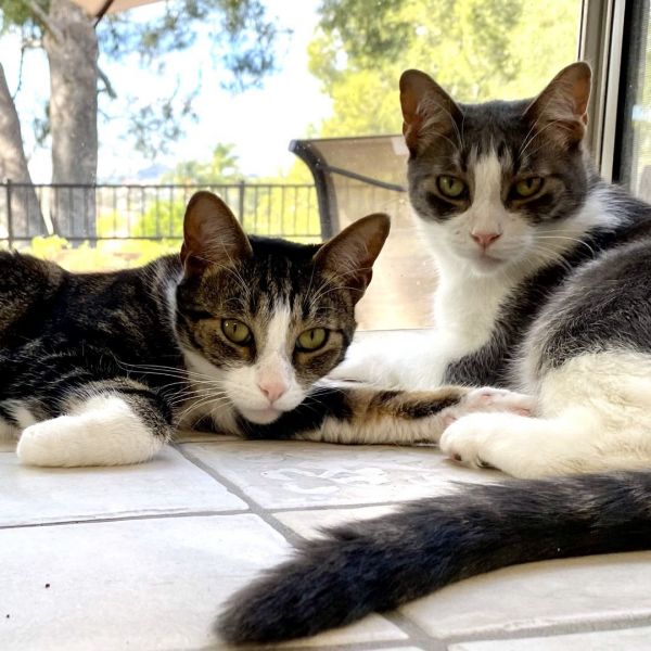 Tom and Cooper