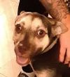 Coco Toupes!  Fun! Adorable!