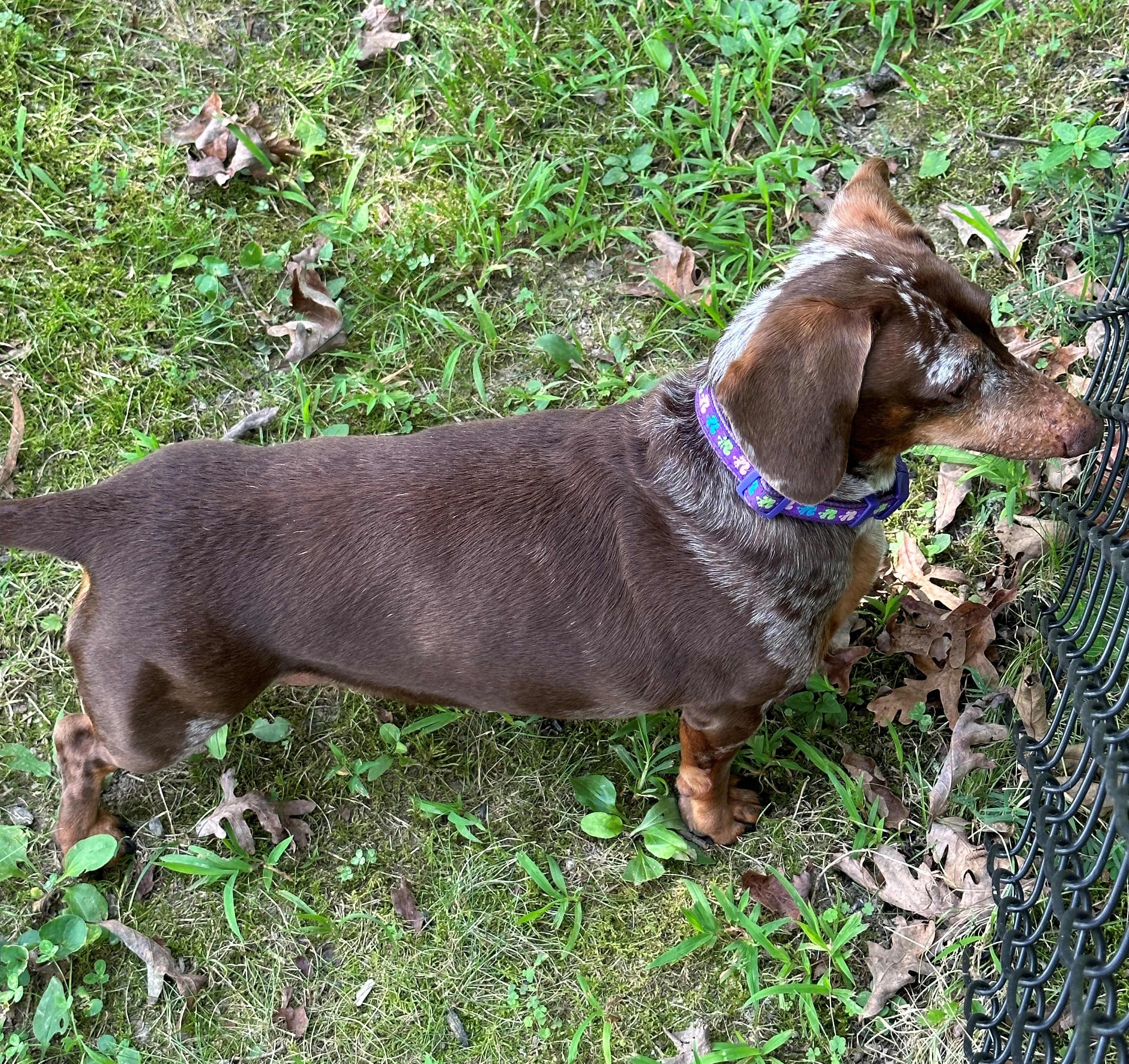 Wendy in TN