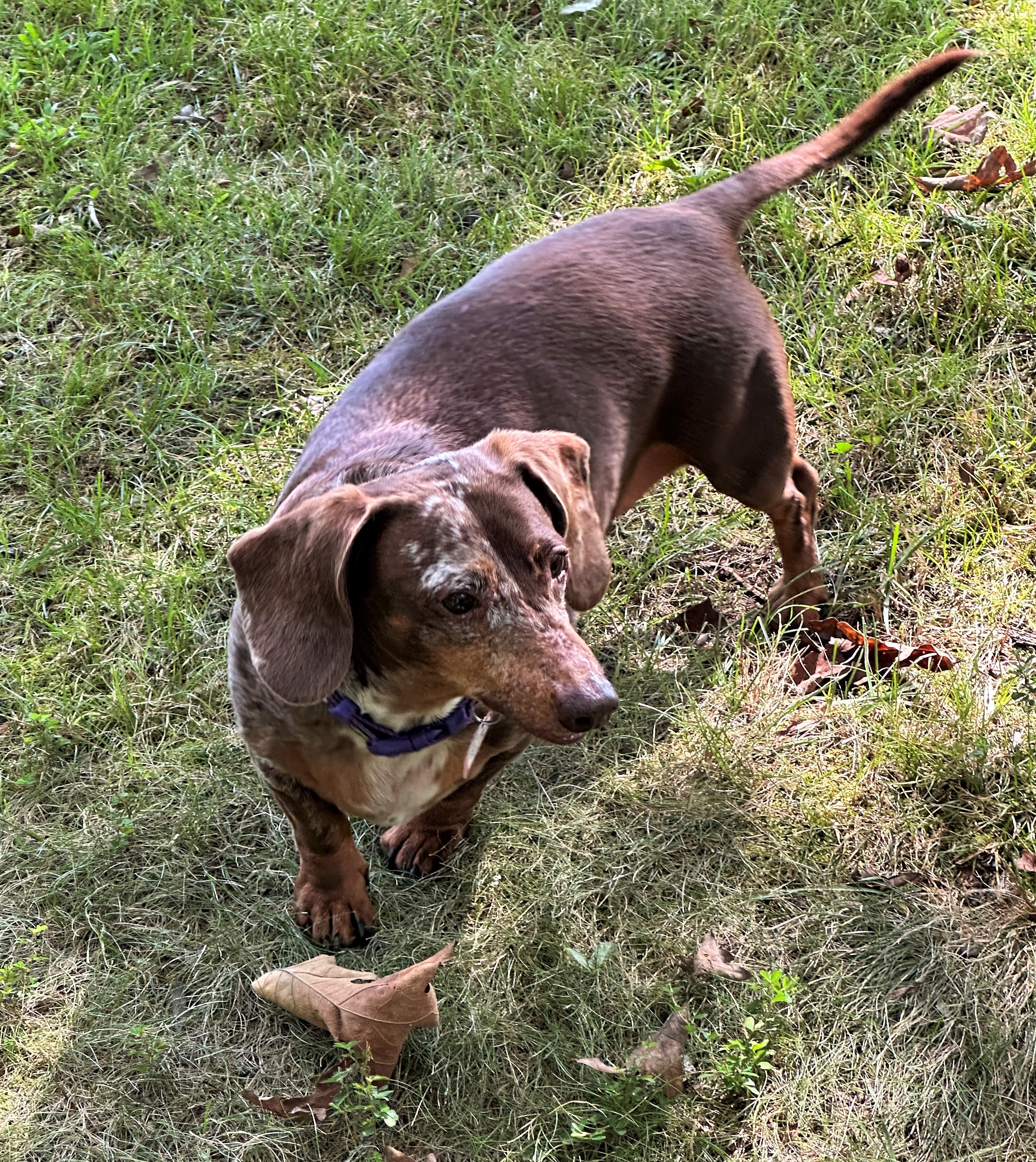 Wendy in TN