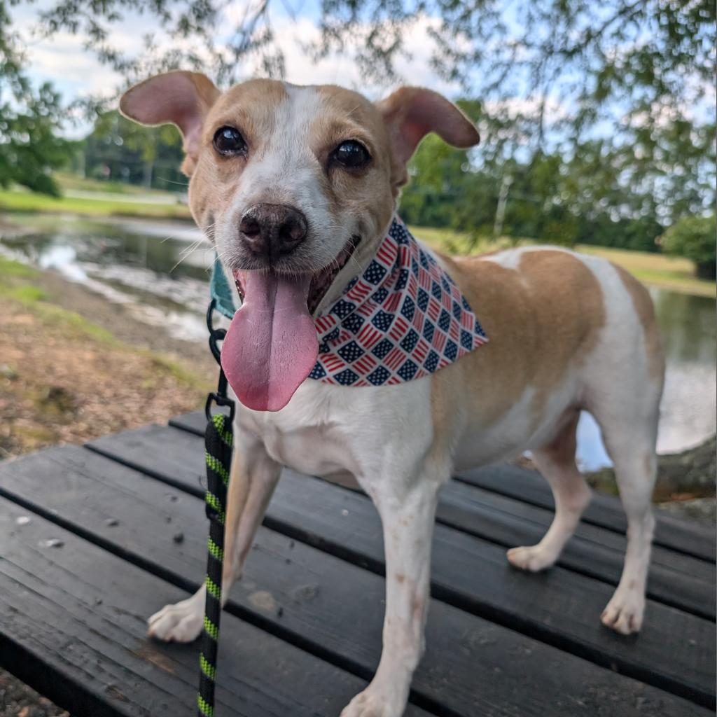 Bailey 09-2852