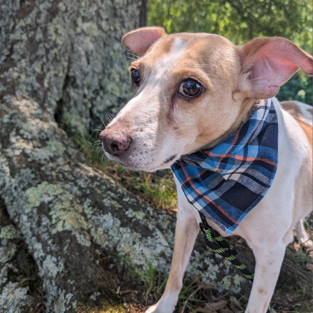 Bailey 09-2852