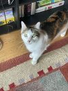 Eleanor (Ellie) - Adoption Pending