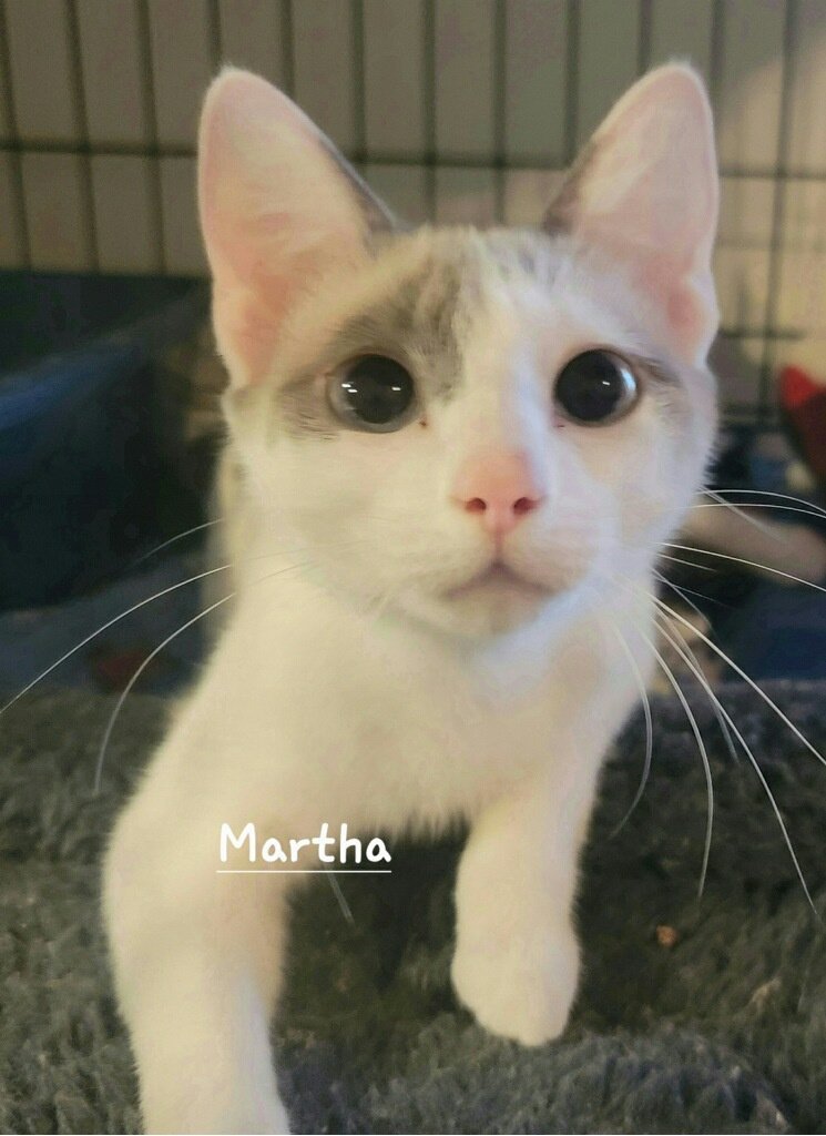 Martha detail page
