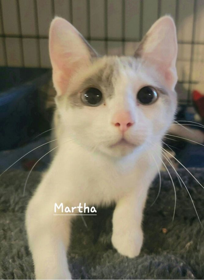 Martha