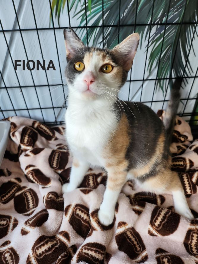 Fiona