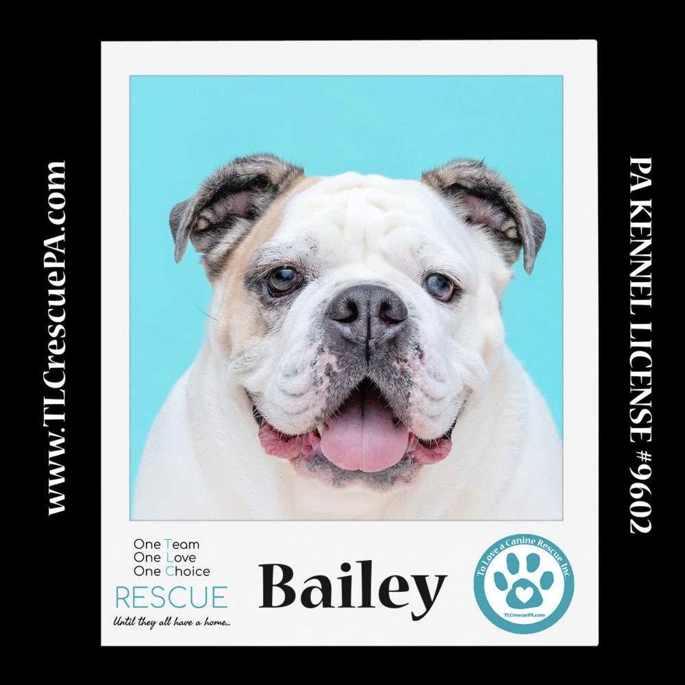 Bailey 100723