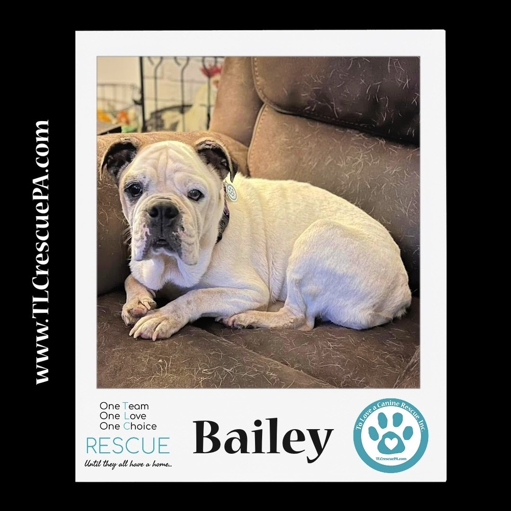 Bailey 100723