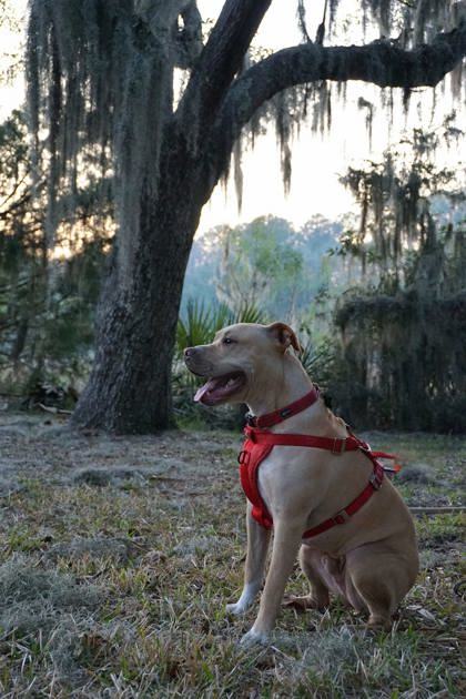 Tucker Montgomery