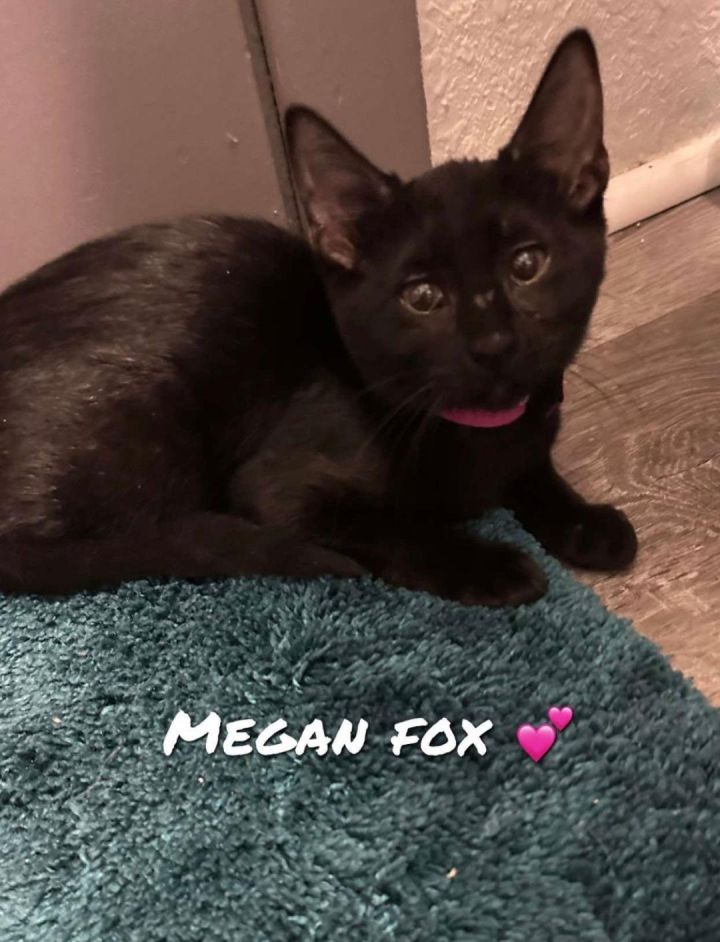 Megan Fox 3