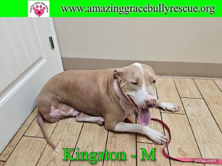 Kingston 3