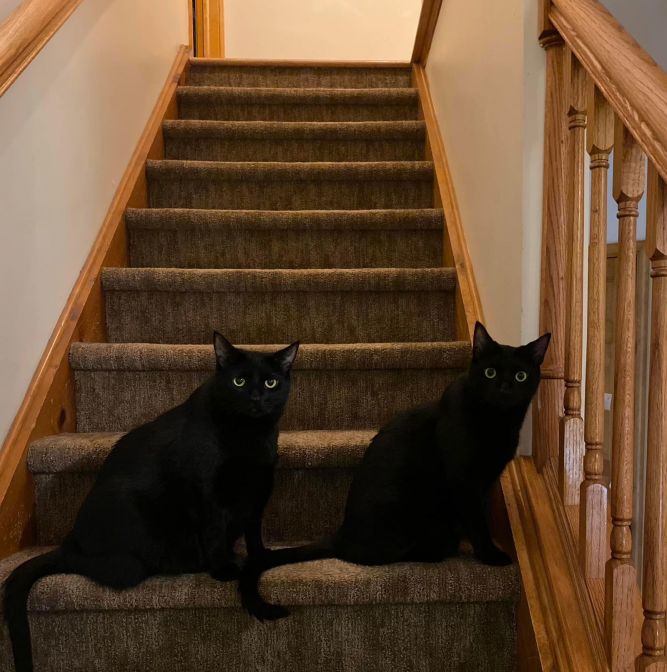 Ben and Spooky