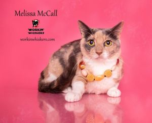 MELISSA McCALL