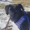 Finn photo 3
