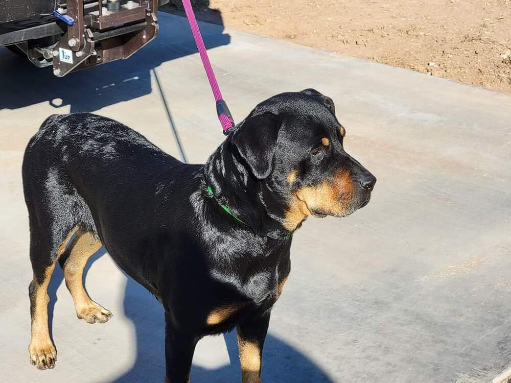 Oakley