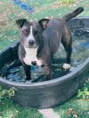 Mya photo 1