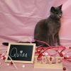 Quinn