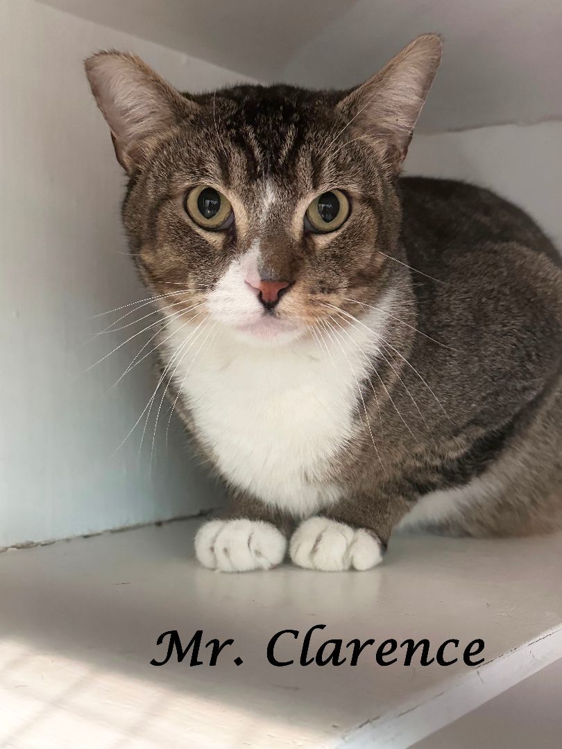 Mr. Clarence