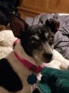Penny/Little Bit photo 2
