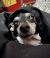 Penny/Little Bit photo 4