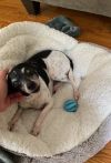 Penny/Little Bit photo 6
