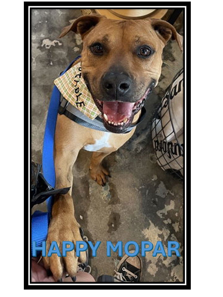Mopar