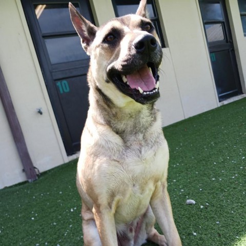 Luka AKA Pengu 5953 5