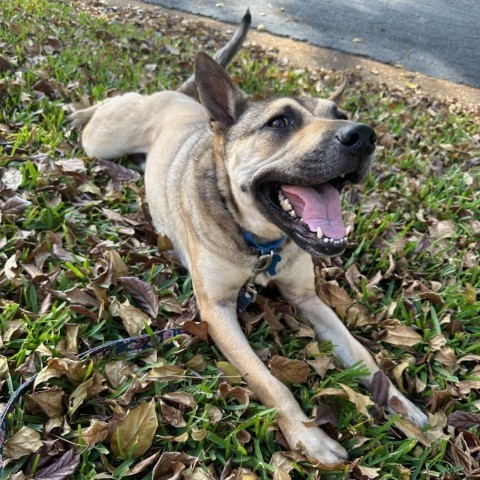 Luka AKA Pengu 5953 4