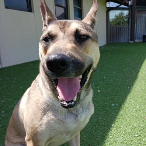 Luka AKA Pengu 5953 4