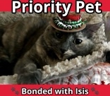 Skylar `A PRIORITY PET` 1