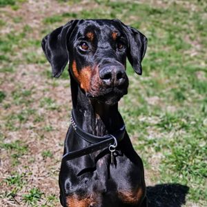 7788 Hudson