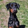 7788 Hudson photo 1