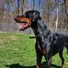 7788 Hudson photo 4