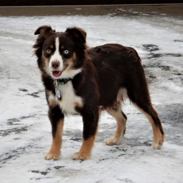 Kali