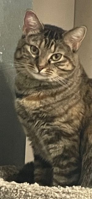 Skye