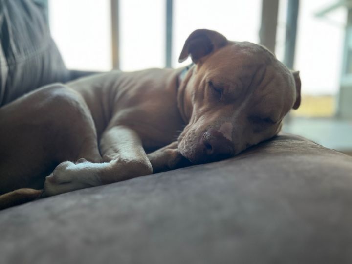 ZEUS #16 3