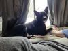 Sparky photo 5
