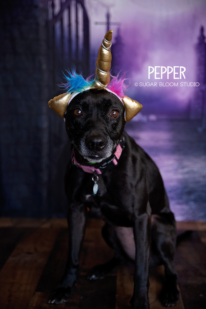 Pepper