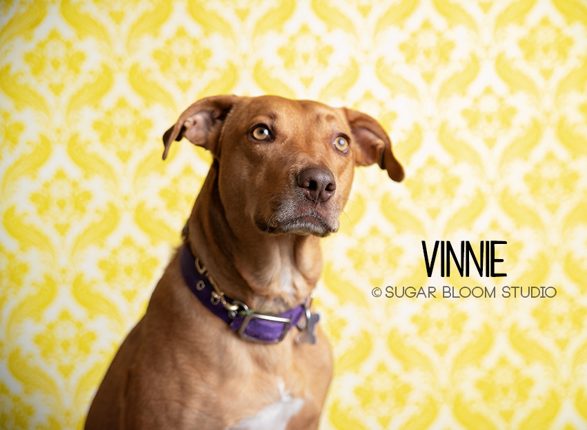 Vincent aka Vinnie