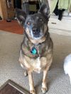 Meeka photo 3