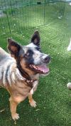 Meeka photo 6